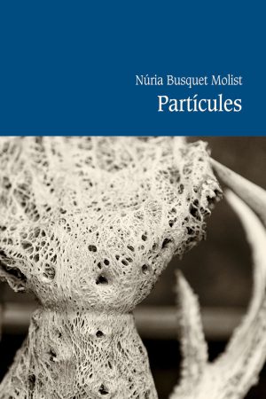 Partícules
